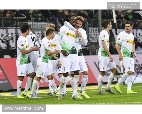 2017年汉堡队与美因茨队激战回顾精彩瞬间与战术分析 2017年汉堡队与美因茨队激战回顾精彩瞬间与战术分析