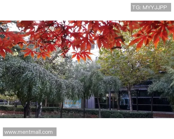 2016至2017赛季火箭队与小牛队精彩对决回顾与分析 2016至2017赛季火箭队与小牛队精彩对决回顾与分析