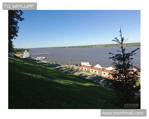 俄罗斯与加纳足球比赛直播精彩呈现全程回顾与分析 俄罗斯与加纳足球比赛直播精彩呈现全程回顾与分析