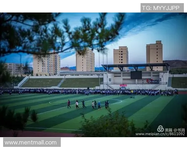 李添荣的奋斗历程与成就探秘：从平凡到卓越的励志故事