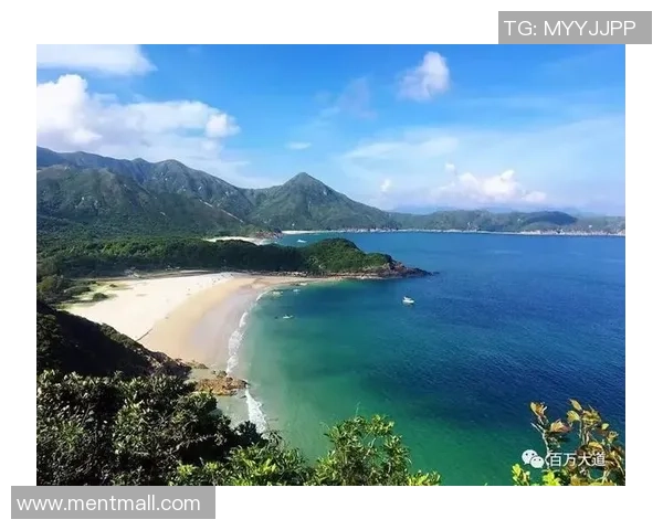 广州极限运动队的比赛经验分享与挑战精神探讨MBA