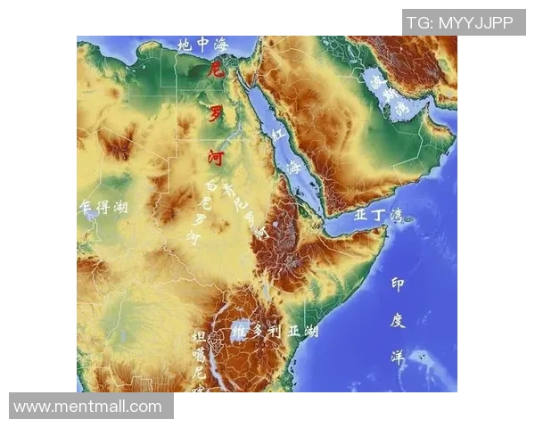马内的传奇旅程:从非洲草原到欧洲绿茵场的辉煌崛起 马内的传奇旅程:从非洲草原到欧洲绿茵场的辉煌崛起