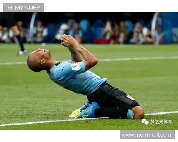 摩洛哥与伊朗比赛体彩投注比例分析及影响因素探讨 摩洛哥与伊朗比赛体彩投注比例分析及影响因素探讨