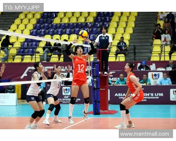 权威发布:2023年排球力量实力榜单全面解析与球员表现评估