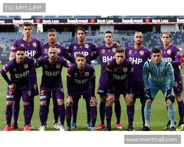 申花与悉尼对决包厢票热销中尽享赛事激情与豪华体验