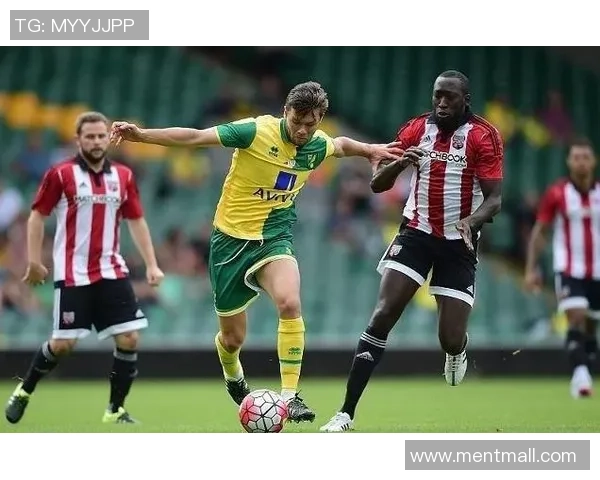 米尔沃尔与布伦特福德激战成和比分解析与赛后点评