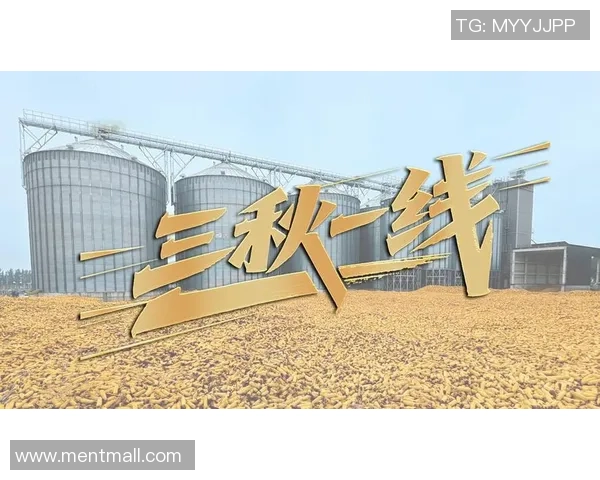 重磅专题：探索LNG产业中的防反革新与未来发展趋势